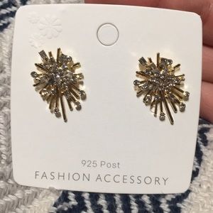 Fashion Fireworks Goldtone Earrings